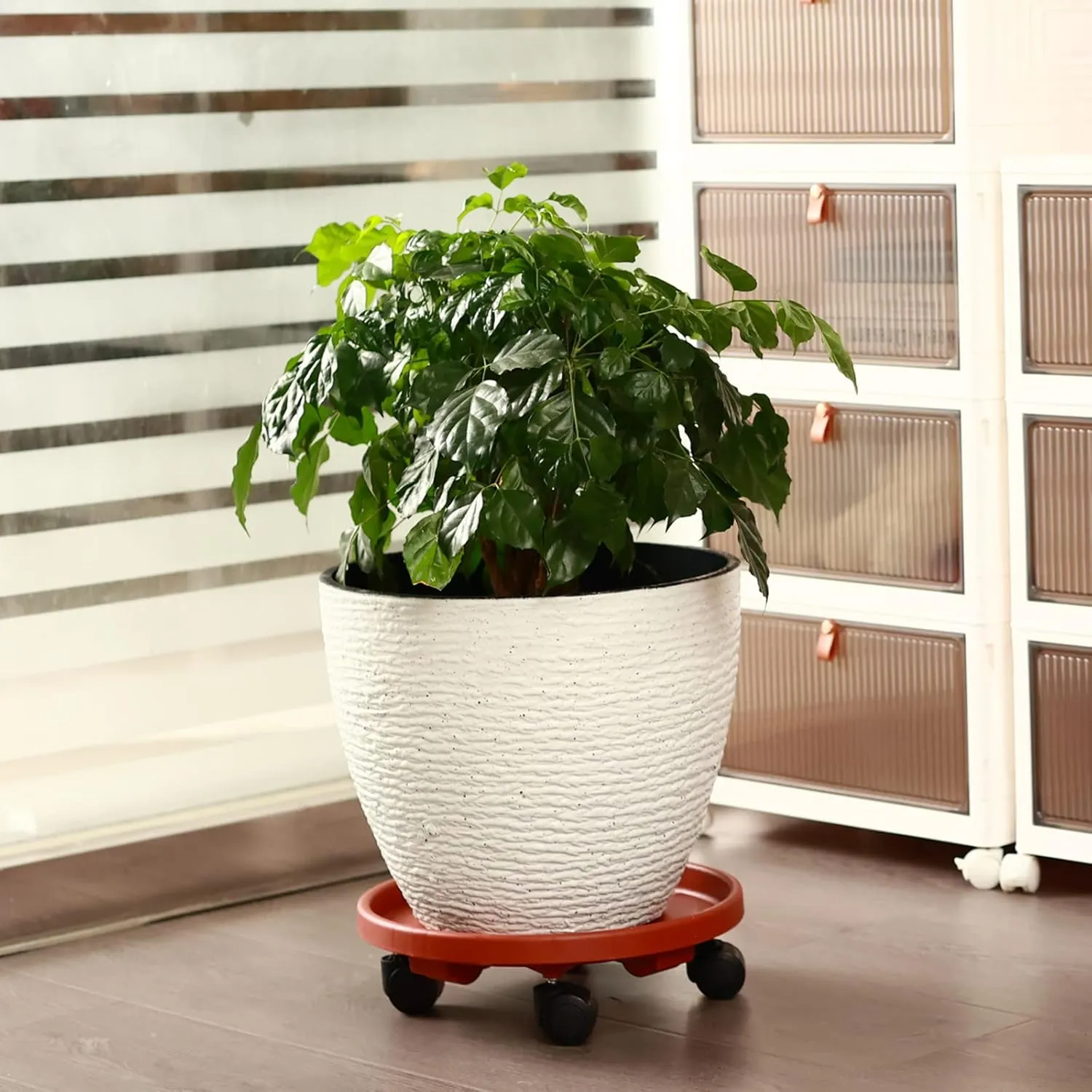 3 Pakcs Large Plant Caddy with Wheels 15.8" Rolling Plant Stands Heavy-duty Plastic Plant Roller Base Pot Movers Plant Saucer on Wheels Indoor Outdoor Plant Dolly with Casters Planter Tray Red
