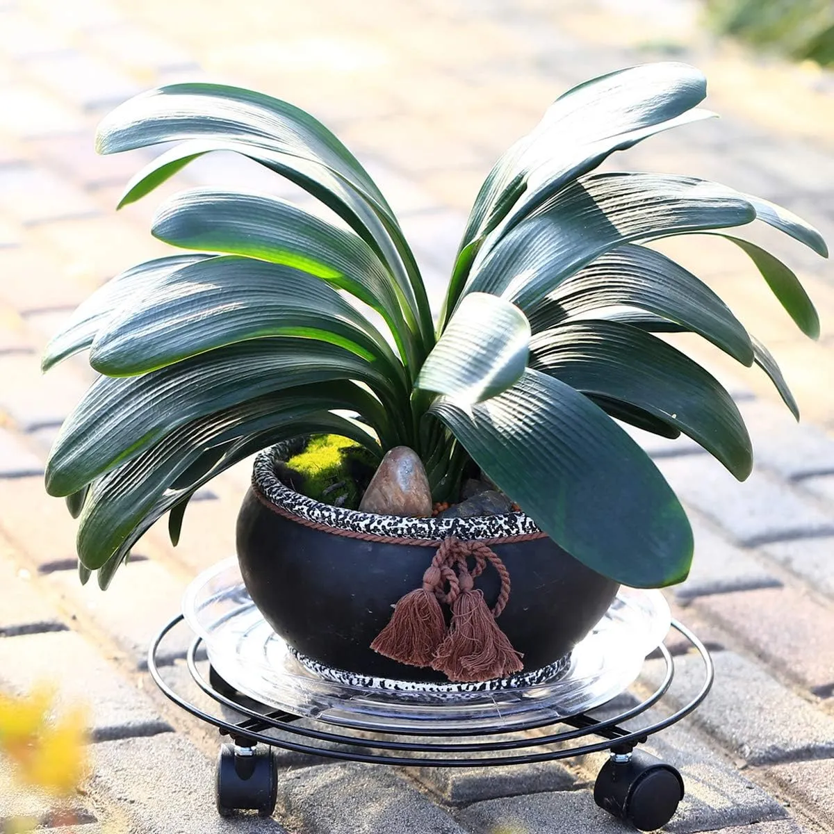 8 Packs Large Metal Plant Caddy 13.8” Plant Dolly with Wheels Heavy-Duty Wrought Iron Rolling Plant Stand with Casters Indoor and Outdoor Plant Pot Mover Rollers Black, Plant Saucers