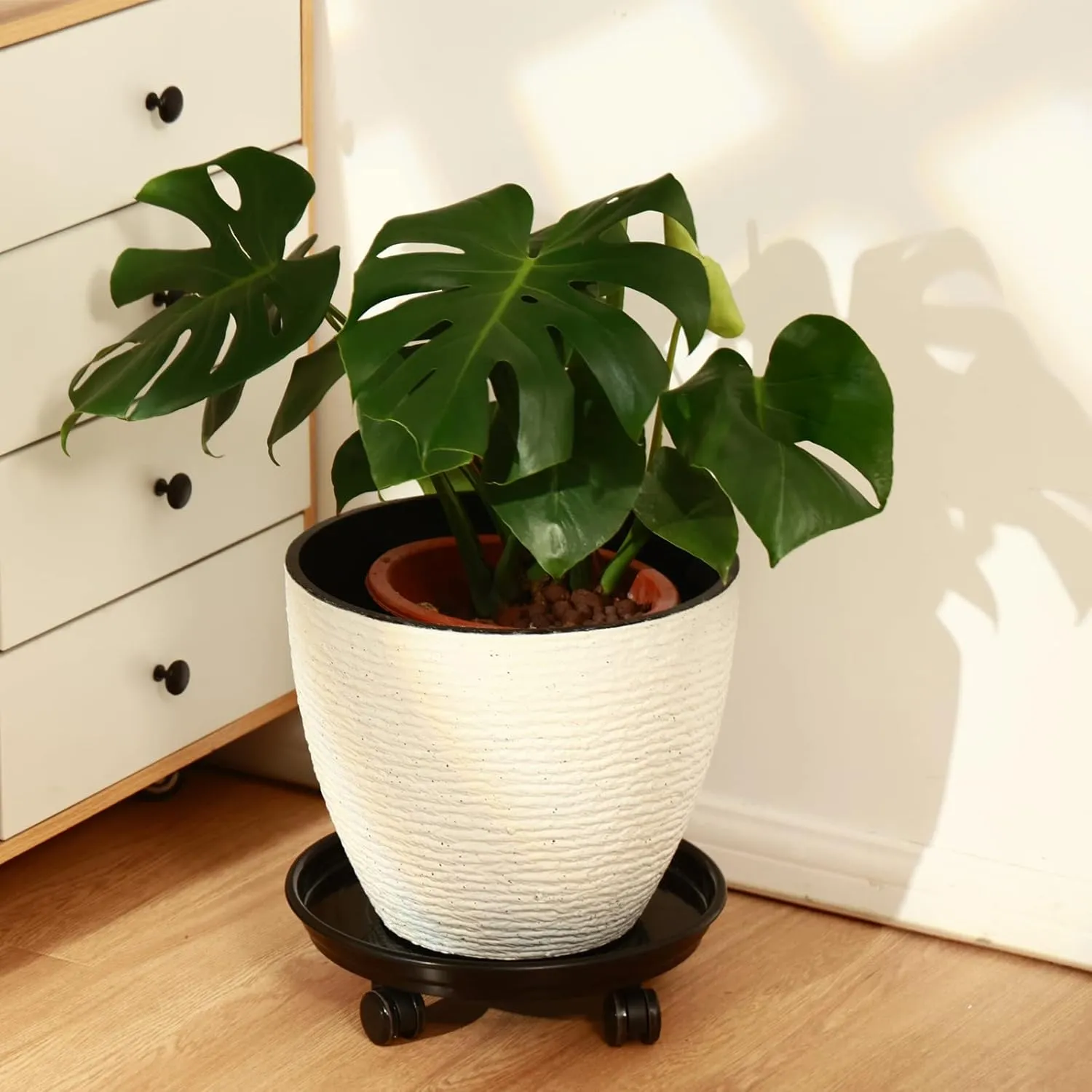 8 Packs Large Plant Caddy with PU Wheels 12" Rolling Plant Stands Heavy-duty Plastic Plant Roller Base Pot Movers Plant Saucers on Wheels Indoor Outdoor Plant Dolly with Casters Planter Tray Coaster