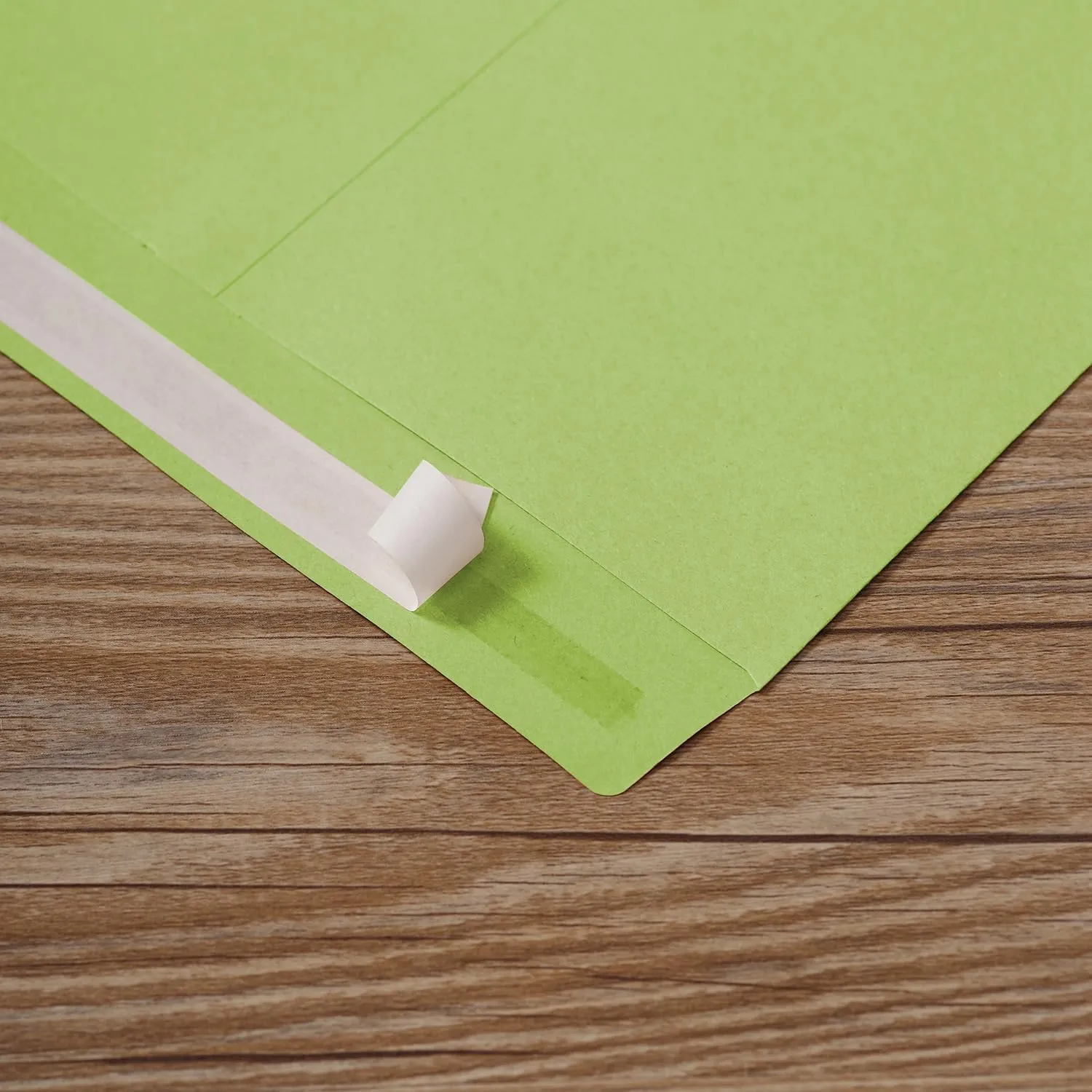 9" x 12.75" Light Green Self-Seal Catalog Envelopes for Invitation Cards, Organizing and Storage, Pictures, Photos, Documents (100 PCS)