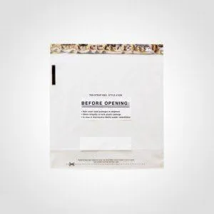 9x9 Inch 10 Strap Small Deposit Bag Clear Plastic (Package of 250)
