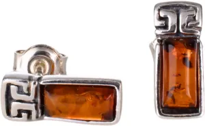 Amber Jewelry for Women - 925 Sterling Silver and Rectangular Baltic Honey Amber Stud Earrings, Small Silver Gemstone Studs - Sterling Silver Jewelry Collection