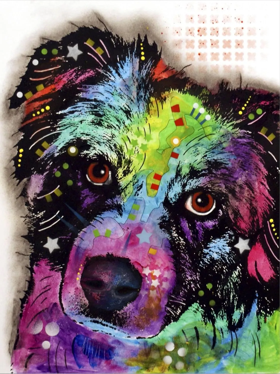 ART.COM Canvas Wall Art Prints Aussie by Dean Russo, Animals Decor, 24" x 32"