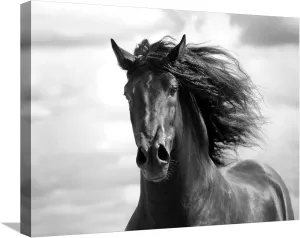 ART.COM Canvas Wall Art Prints Breath of Life by Tony Stromberg, Animals Decor, 24" x 18"