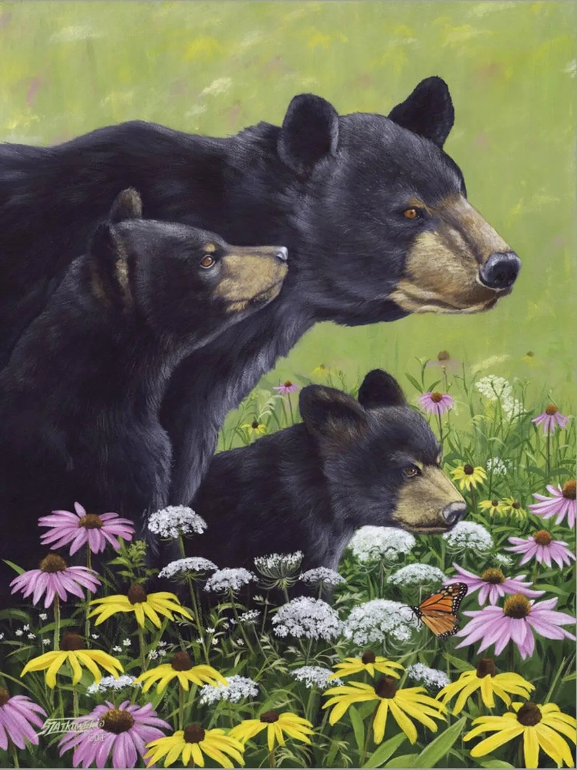 ART.COM Stretched Canvas Print Black Bears by Fred Szatkowski, 12" x 16"