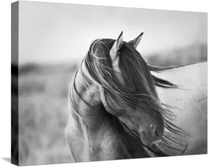 ART.COM Stretched Canvas Print Fierce Grace by Tony Stromberg, 24" x 18"