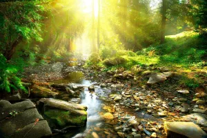 ART.COM Wall Art Prints Mountain River With, Forest Landscape. Tranquil Waterfall Scenery in the Middle of Green Forest by Subbotina Anna, Scenic Decor, 36" x 24"