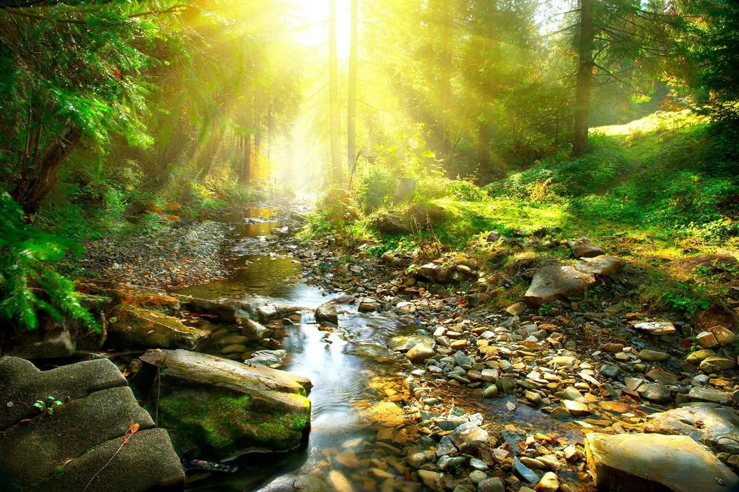 ART.COM Wall Art Prints Mountain River With, Forest Landscape. Tranquil Waterfall Scenery in the Middle of Green Forest by Subbotina Anna, Scenic Decor, 36" x 24"