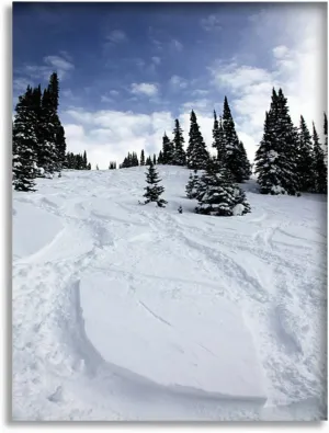 Bathroom Wall Art Decor Bathroom Pictures for Wall Artwork Ski Fresh Tracks Powder Snow Framed Canvas Wall Art for Bedroom Dining Room Farmhouse 16"x20"