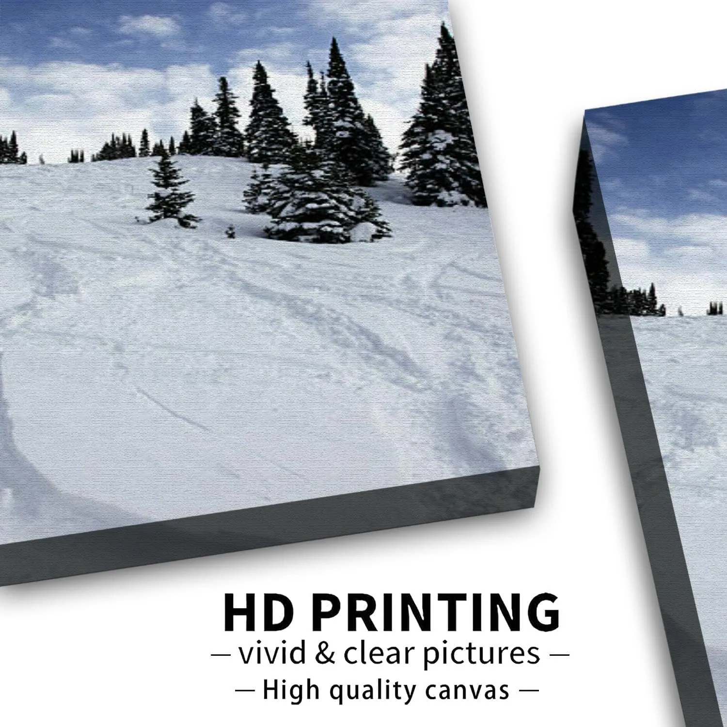 Bathroom Wall Art Decor Bathroom Pictures for Wall Artwork Ski Fresh Tracks Powder Snow Framed Canvas Wall Art for Bedroom Dining Room Farmhouse 16"x20"