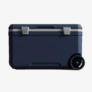 Car Camping Coolers for Citro?n C1/C2/C3/C4/C5/C4 Cactus/C4 Picasso/C5 Aircross, Waterproof Portable Cooler, Leak Proof Picnic Insulated Bag, Ultra-Light Premium Ice Chest Box,C-Blue-70L