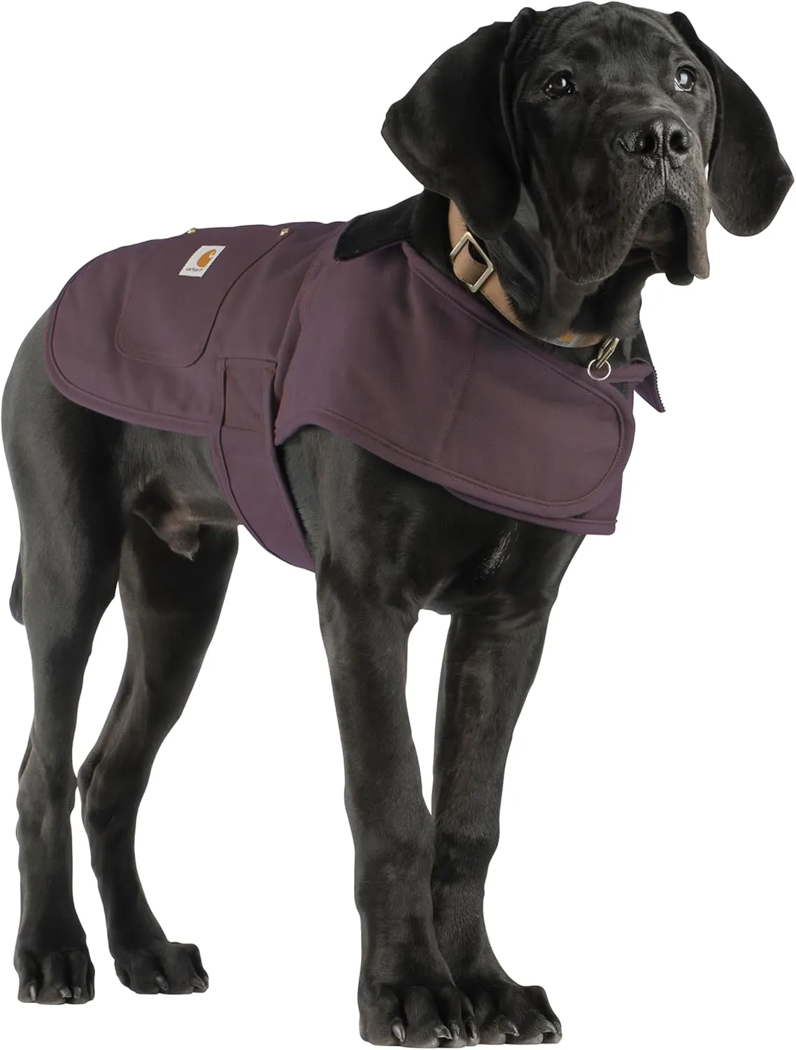 Carhartt Firm Duck Insulated Dog Chore Coat, Durable Weather Resistant Jacket for Cold and Windy Conditions, Contains PFAS (Deep Wine), X-Large