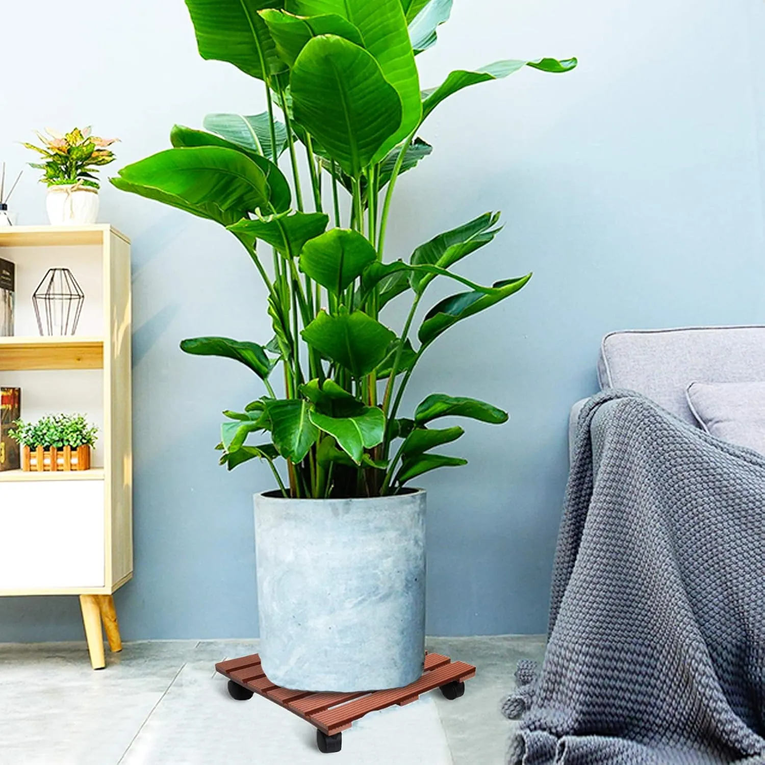 CERBIOR Plant Caddy Heavy Duty Plant Pot with Wheels Indoor Outdoor Strong and Sturdy Design, (14Inch Square, Merbau)