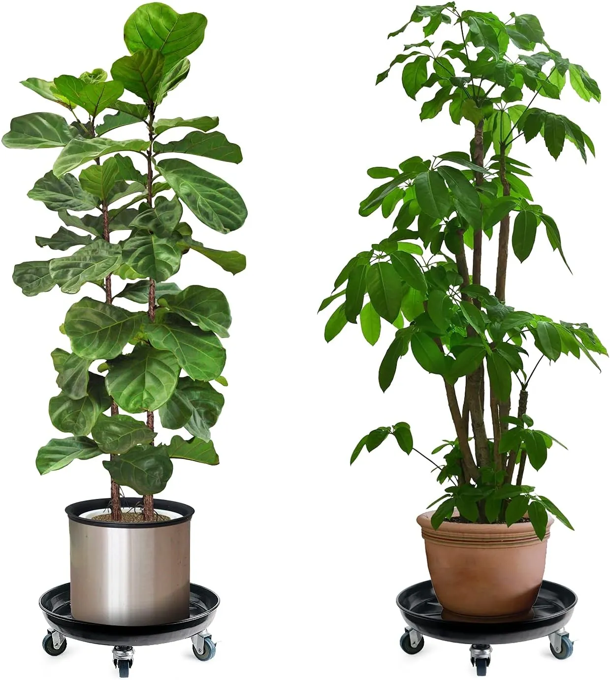 Choclaif Plant Caddy with Wheels, 1 Pack Black Heavy Duty Plant Stand with Universal Wheels, Round Pot Trolley for Indoor Outdoor (20)