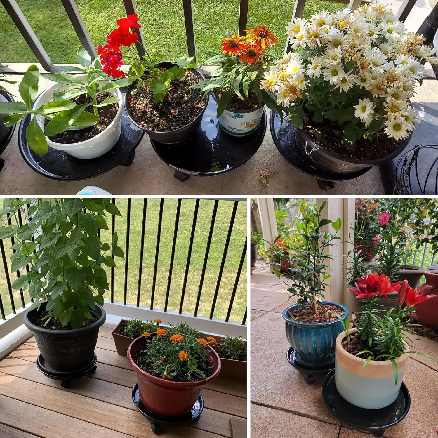 Circloophs 5 Packs Plastic Plant Caddy with Casters 12" Heavy-Duty Plant Dolly Rolling Plant Stand with Wheels for Moving Heavy and Large Plant Pot Saucers Plant Rollers Indoor and Outdoor, Black
