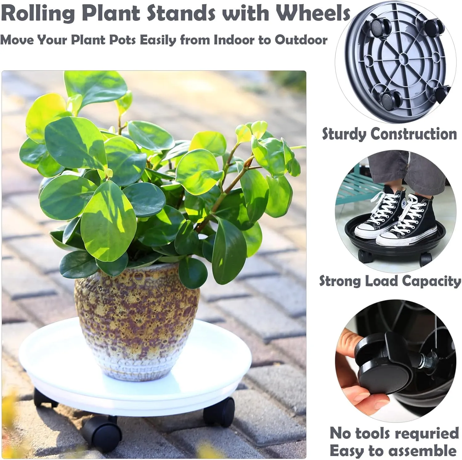 Circloophs 5 Packs Plastic Plant Caddy with Wheels 12 Inches Heavy-Duty Rolling Plant Stands with Casters Plant Roller Base for Moving Heavy Plant Pots Indoor and Outdoor Plant Mover Saucers, Grey