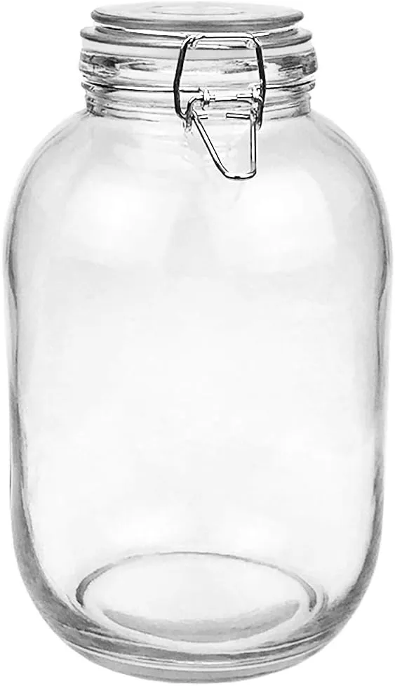 Folinstall Gallon Glass Jar with Airtight Lid - Large Mason Jar for Pickled Eggs, Kombucha, Limoncello, Sun Tea (Extra Gasket)