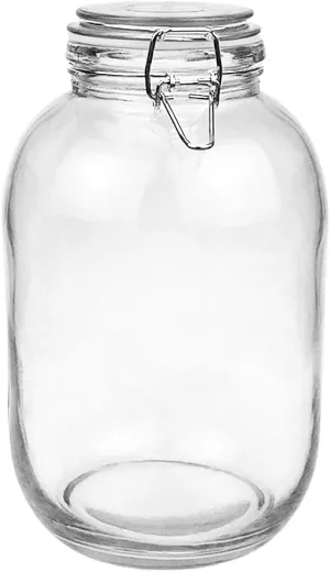 Folinstall Gallon Glass Jar with Airtight Lid - Large Mason Jar for Pickled Eggs, Kombucha, Limoncello, Sun Tea (Extra Gasket)