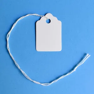 Merchandise Tags with String Attached - 1 1/4” x 7/8”, 1000 String Tags for Pricing, Small Tags with String for Jewelry, Strung Marking Tags for Pricing
