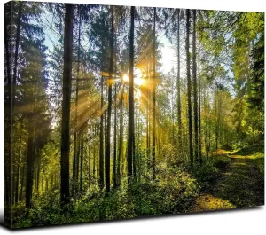 Nature Forest Canvas Wall Art for Living Room Bathroom Sunrise Mountain Landscape Picture Painting Sunset Wall Decor Tropical Green Trees Scenery Poster Prints Photo Artwork Home Decorations 12x16”