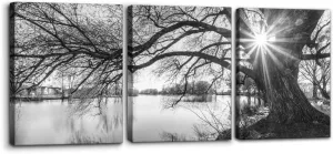 Pacimo Canvas Print Wall Art Old Tree by Lake Nature Photography Modern Home Decor Rustic Scenic Black and White Sunrise Landscape Modern Artwork Stretch and Framed Ready to Hang - 12"x16"x3 Panels