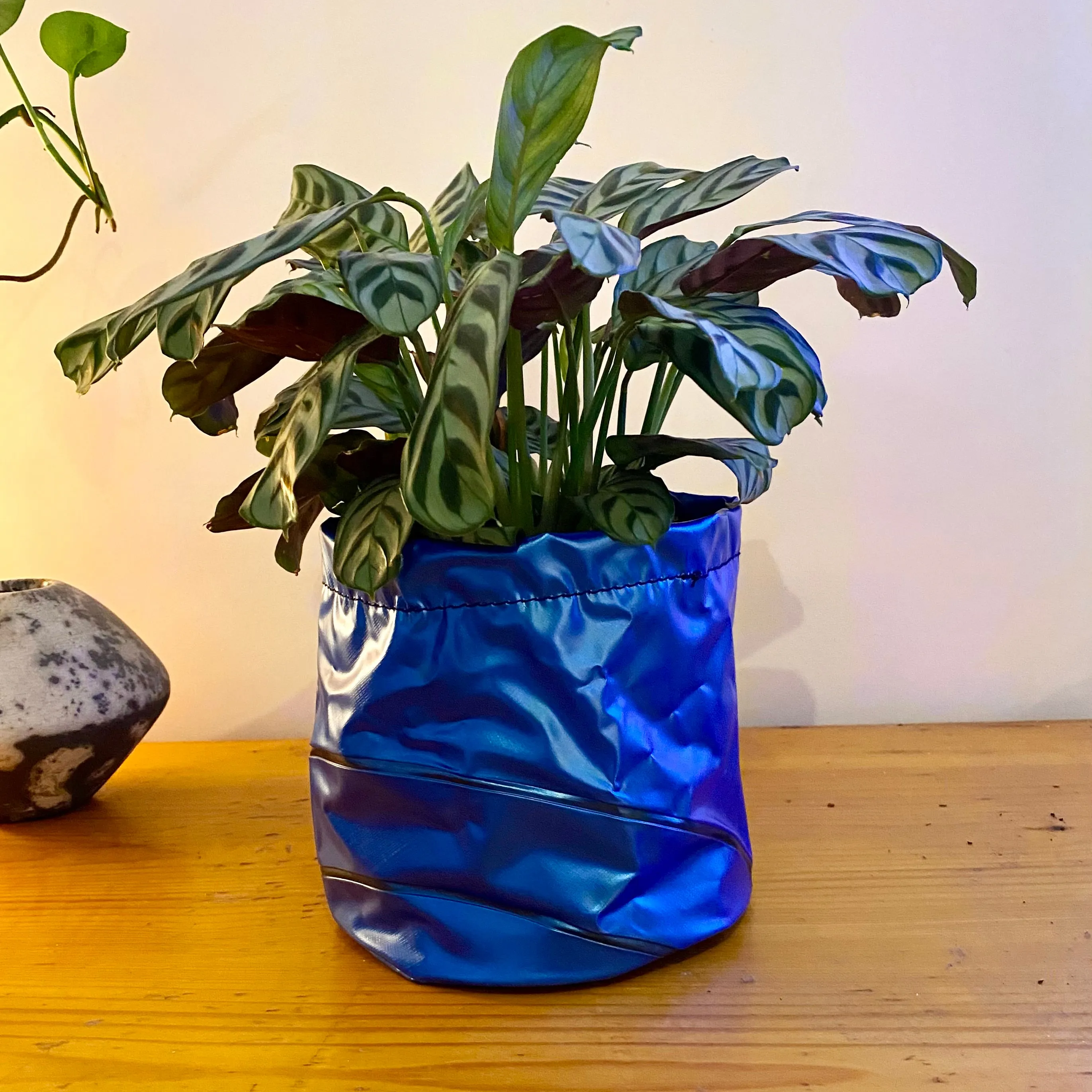 Planter, Plant pot, Storage basket or Desk Caddy - recycled inflatables