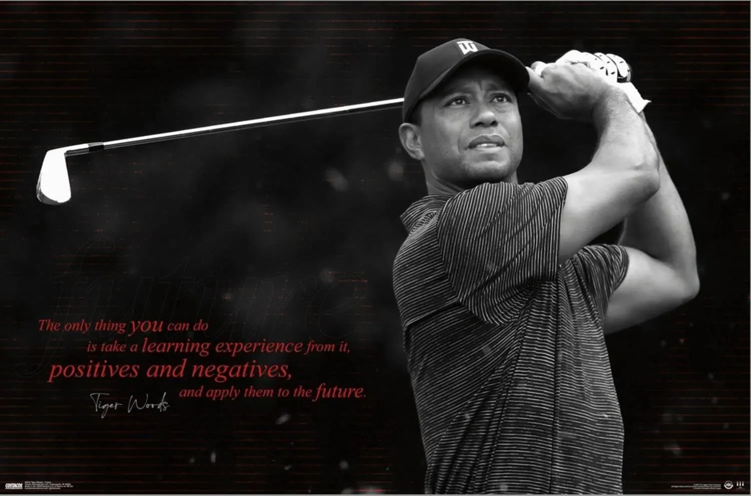 Trends International Tiger Woods - Future Wall Poster, 14.72" x 22.37", Stretched Canvas
