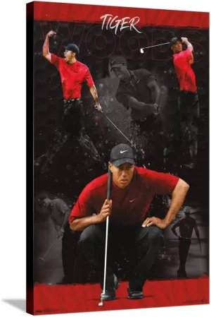 Trends International Tiger Woods - Sketch Wall Poster, 22.37" x 34.00", Stretched Canvas
