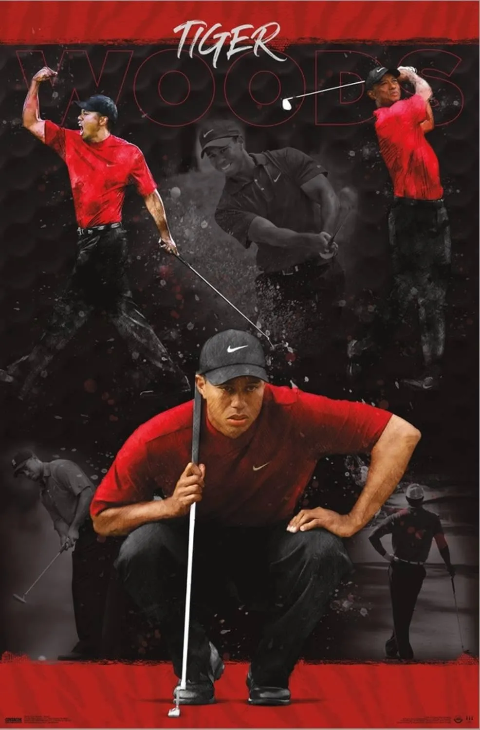 Trends International Tiger Woods - Sketch Wall Poster, 22.37" x 34.00", Stretched Canvas