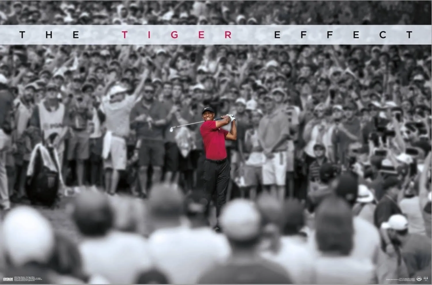 Trends International Tiger Woods - The Tiger Effect Wall Poster, 14.72" x 22.37", Stretched Canvas