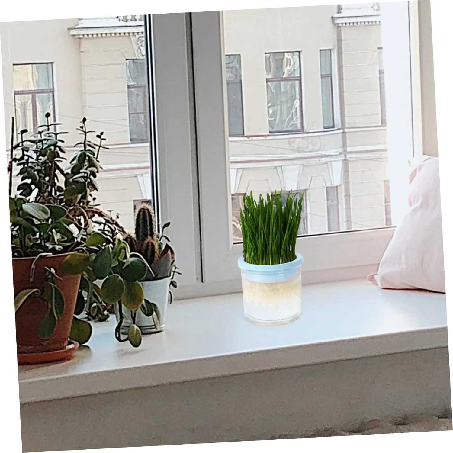 VANZACK 2pcs Cat Grass Planter Box Hydroponic Pot Large Planting Area Easy Cleaning