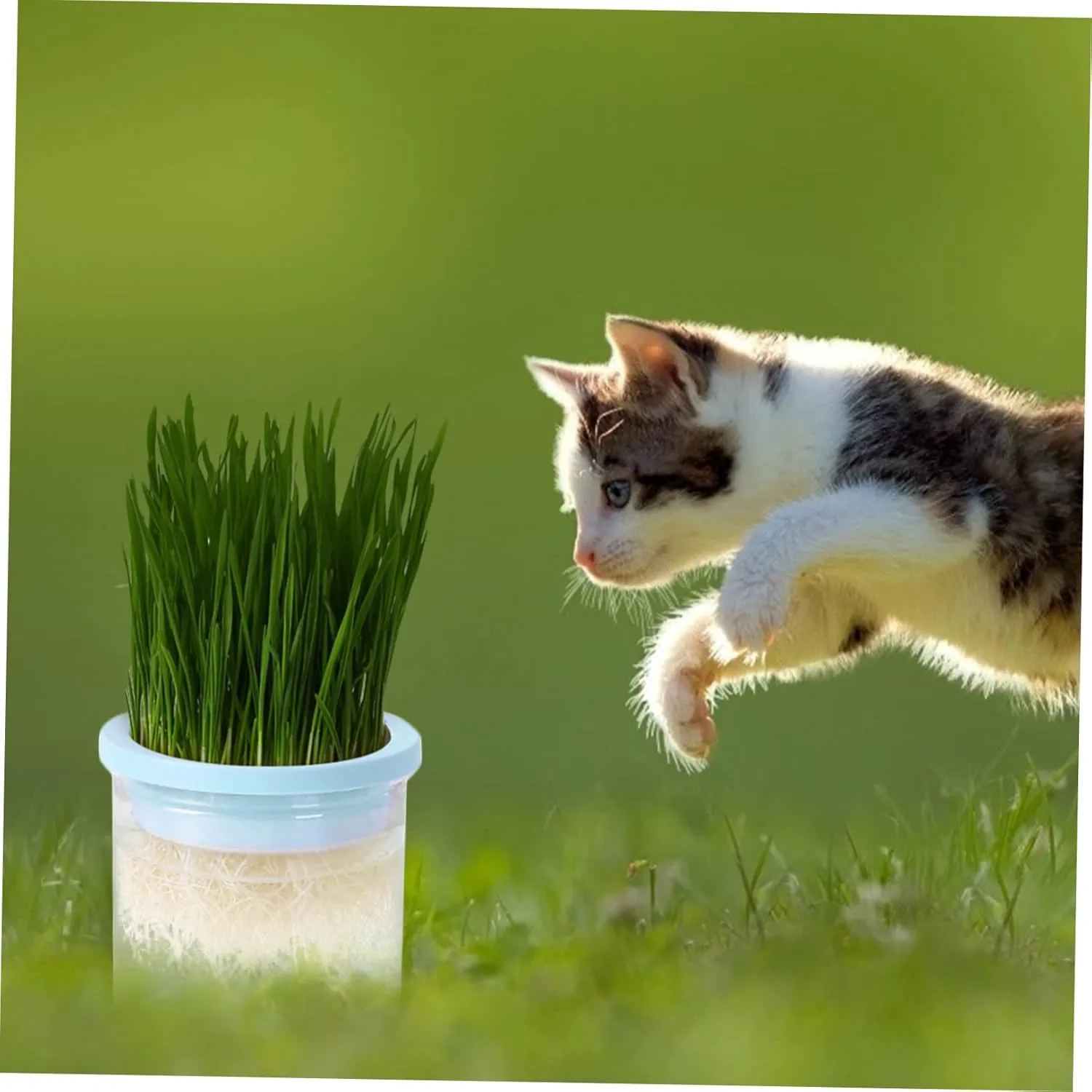 VANZACK 2pcs Cat Grass Planter Box Hydroponic Pot Large Planting Area Easy Cleaning