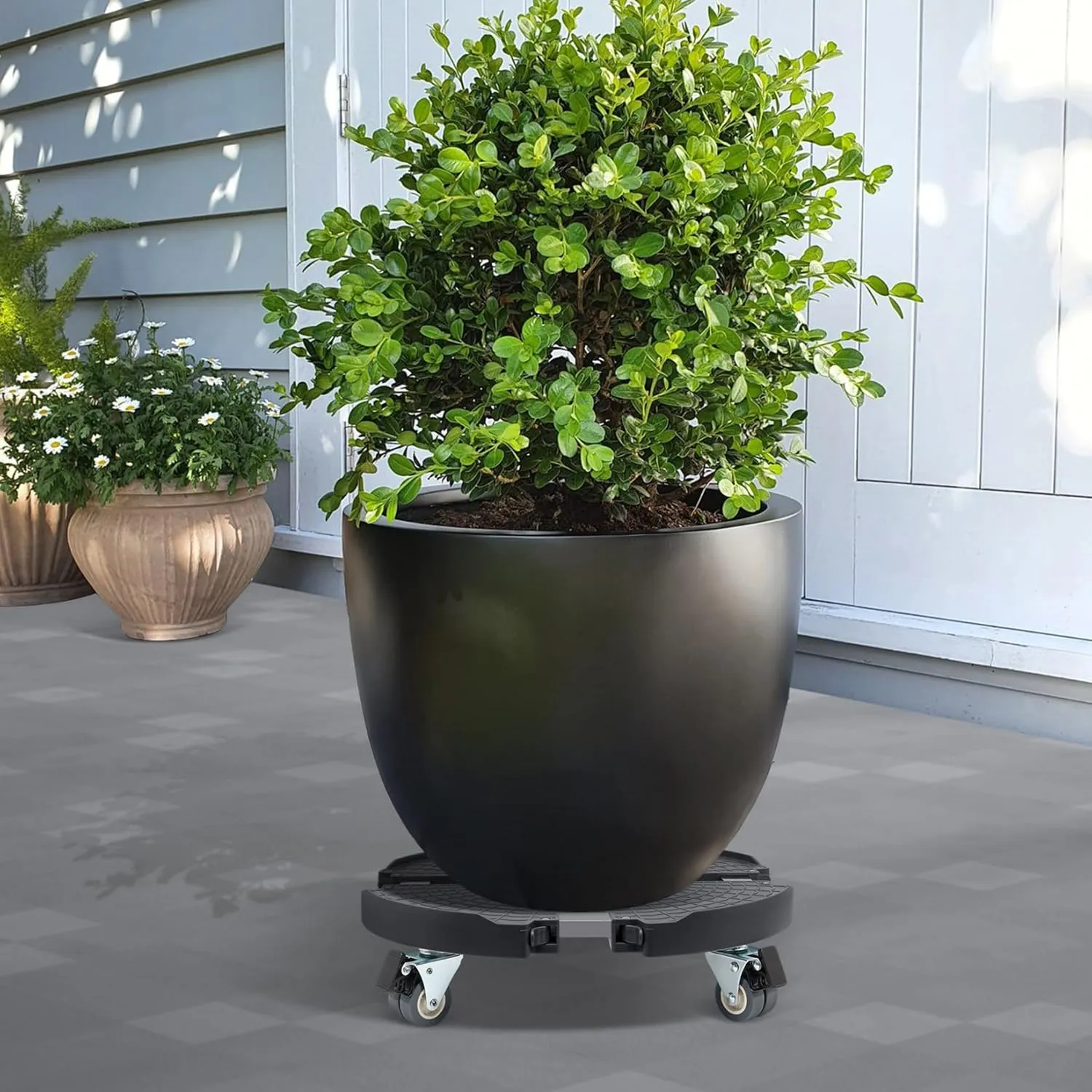 W B D WEIBIDA Plant Caddy with Locking Wheels Heavy Duty, Adjustable 12 to 18 Inch Plant Roller Base, Rolling Pot Stand for Large Planter and Pots, 440 Lbs Capacity Round Dolly for Indoor/Outdoor Use